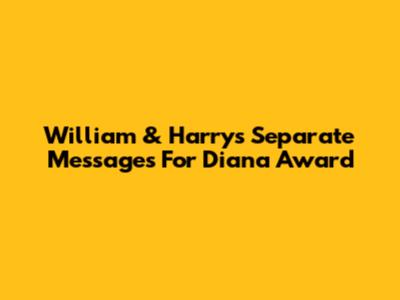William & Harry's Separate Messages For Diana Award