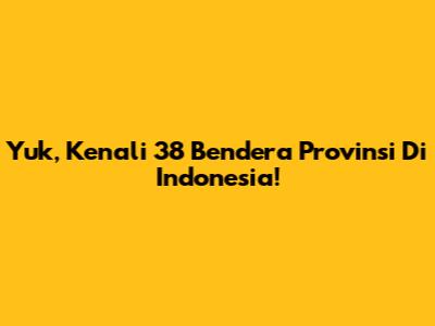 Yuk, Kenali 38 Bendera Provinsi Di Indonesia!