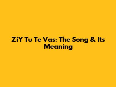 ZiY Tu Te Vas: The Song & Its Meaning